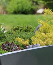 Harmonie paysage sarl Bild 7