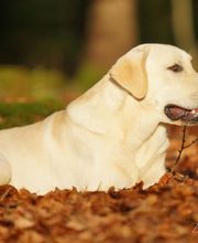 Tanja Wiedenmann Bild 5