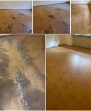 Quality Clean Gmbh Bild 7