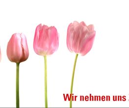 Hörberatung Zürich Mogg GmbH Bild 4