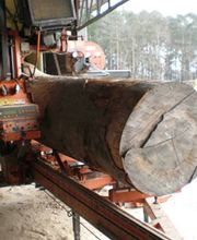 Sägewerk Petrick Bild 6