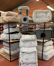 Animotopia Puppy Saint Pol de Leon image 5