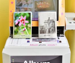 Photo Flash Evasion image 20