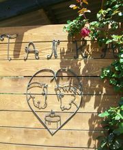 Association Tanka S.O.S Chevaux,Ânes et Poneys. image 2