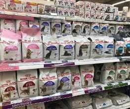 Alimentation Royal Canin 