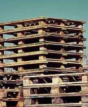 Palettes Services 49 image 3