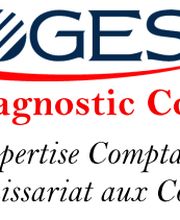 Sogest Dijon image 2