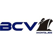 logo_bcv.jpg