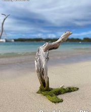 Smiley Location image 6