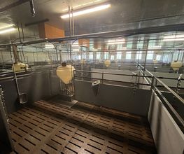Clean BY BM Bild 16
