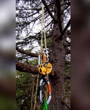 IdealFlora di Davide Gagliardini Bild 2