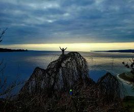 Baumpfelge Thiele Bild 6