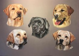 Sweet Braveheart Melody