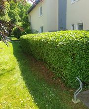 Ch-Clean - Gebäudereinigung & Objektservice Bild 13