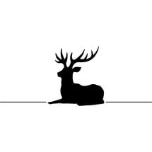Logo der Hirsch-Apotheke OHG