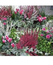 Dekoration | Herbst | Blumengeschäft Rieger | Benediktbeuern