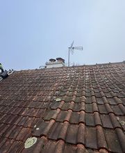 Specht Lenfant Warren image 10