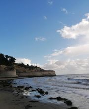 LE PETIT RADIEUX image 15