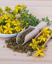 Jauréguy Christine image 7