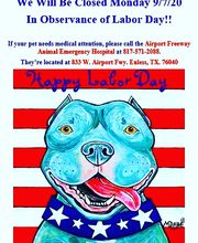 Green Oaks North Pet Hospital image 1