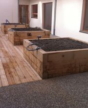 Sequoia Paysage image 16