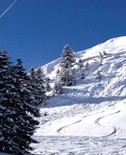 Interhockey AG Bild 4