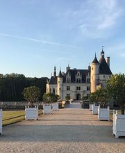 Château Chenonceau image 1