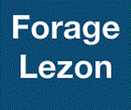 Lezon Frédéric image 2
