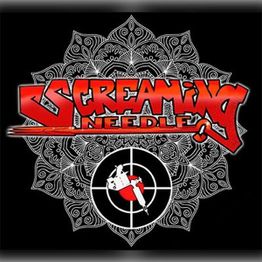 Screaming Needle Studio privé