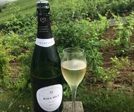 Champagne Bauchet image 3