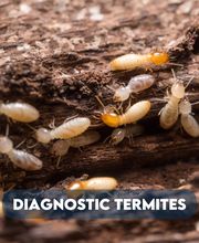 Activ'Expertise Reims Est - diagnostic immobilier image 4