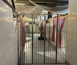 Hundezentrum Rhein-Main GbR Bild 3