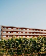 Sonnenhotel Weingut Römmert Bild 1
