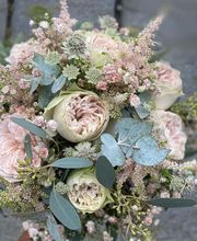 Blumen La Violetta Bild 3