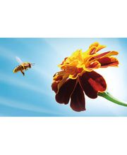 MAB Steuerberatungsgesellschaft mbH Bild 1