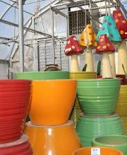 Breshear's Nursery & Greenhouse image 13