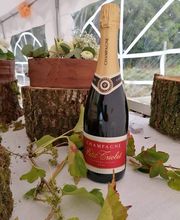 Champagne Petit-Triolet image 12