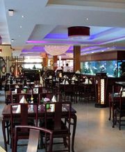 Asia 5 Sterne Düsseldorf Bild 12