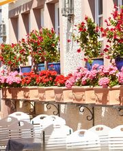 Burgschänke Restaurant & Hotel Bild 13