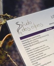 Studio des Alpes Sàrl Bild 6