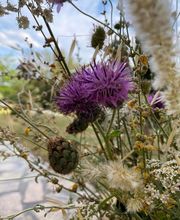 Bergerie De Beaudine image 14