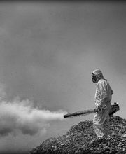 CPD - PLAGAS imagen 2