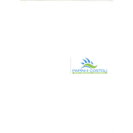 Papini e Costoli - Impianti Idraulici logo