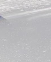 Act-Sports Ski Tennis Shop Bild 4