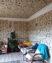 Electric Eric image 9