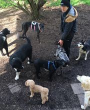 Martin Hofmann Bild 2