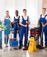 Servicios Mibeyo imagen 8