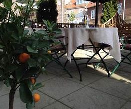dS Hotel Bad Bentheim Bild 15