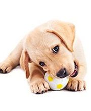 Animalin Boutique image 1