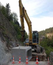 Cardinal Myriam image 9